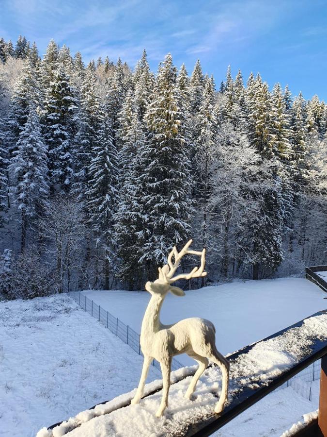 Apartament Ozon Poiana Brasov Exterior foto